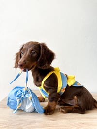 Image 1 of Flower Pet Bikini 