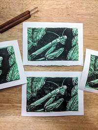 Image 3 of Praying Mantis Print