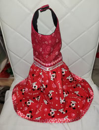 Valentines day dog dress 👗 