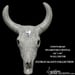 Image of Swarovski Crystal Cow's Head Wall Art