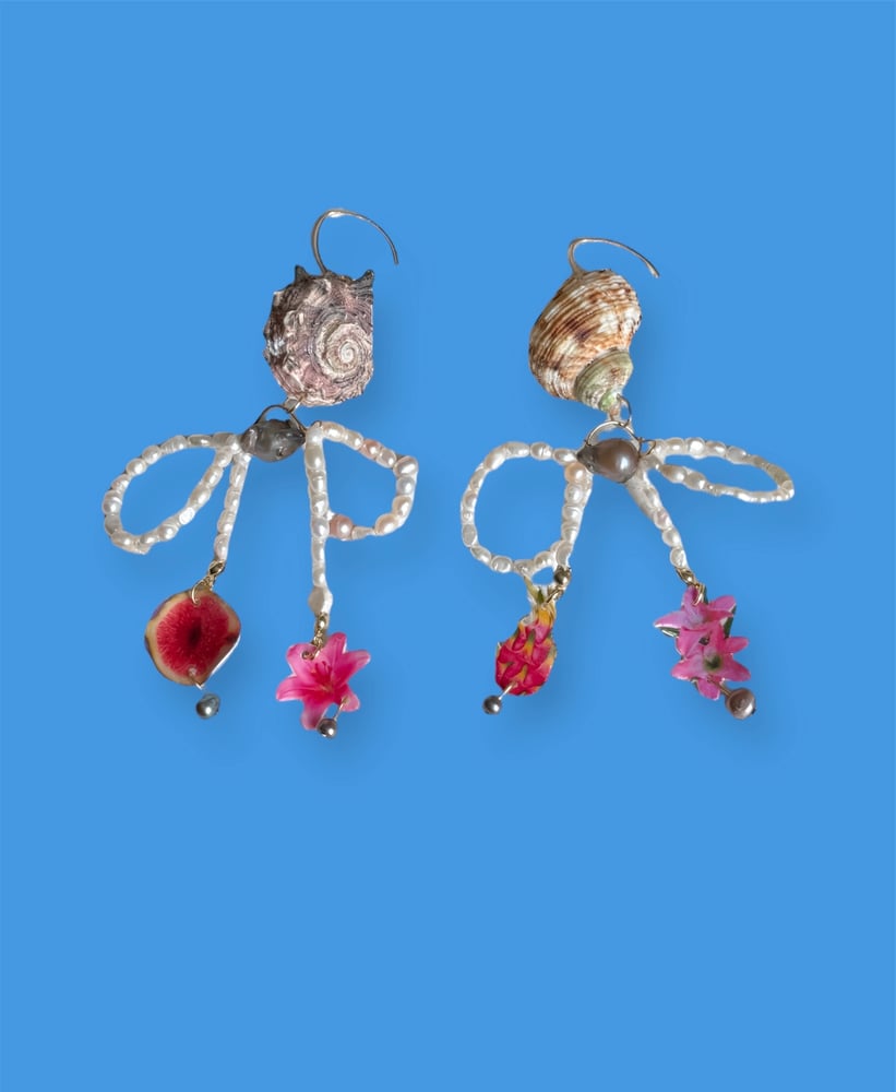 Image of fig conch earrings 