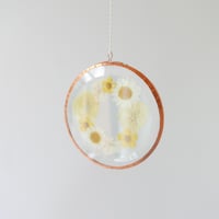Image 2 of Pressed Flower Suncatcher Buttercups
