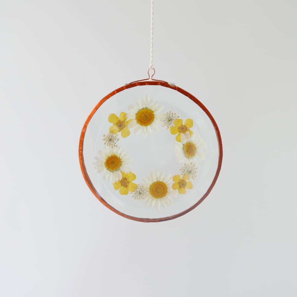 Image of Pressed Flower Suncatcher - Buttercup and Daisy