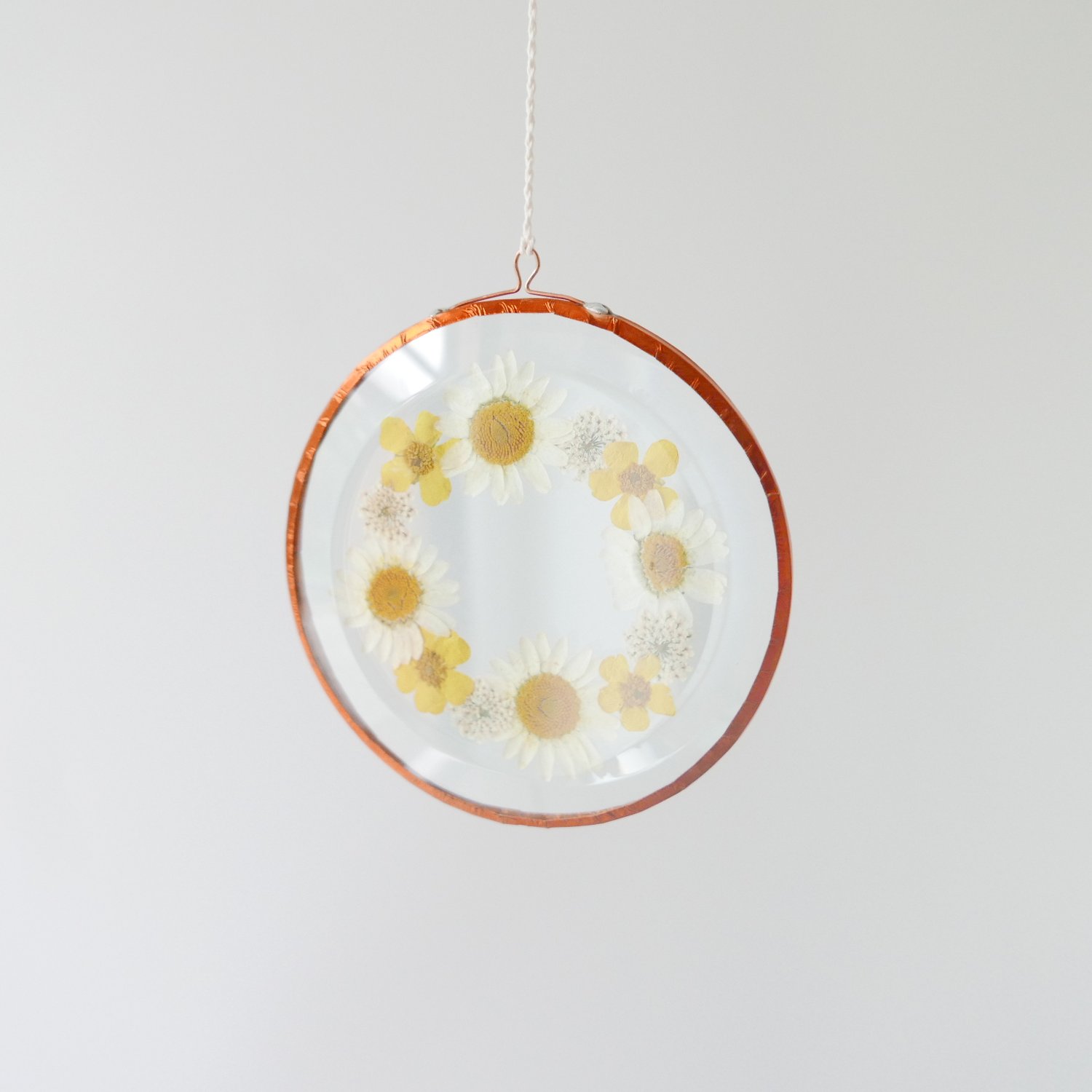 Image of Pressed Flower Suncatcher - Buttercup and Daisy