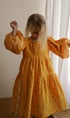MARIGOLD Image 2