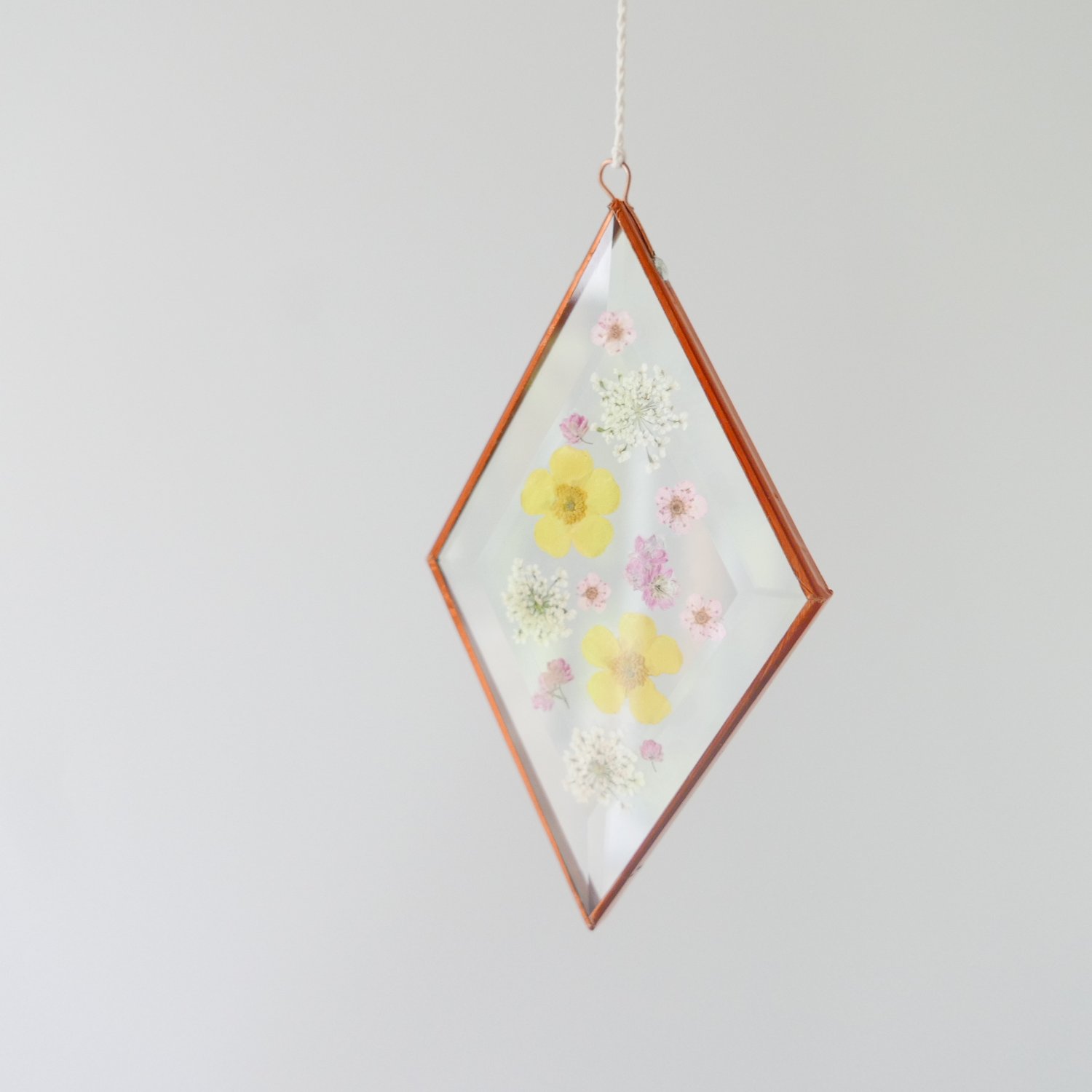 Image of Pressed Flower Suncatcher - Buttercup and Blossoms