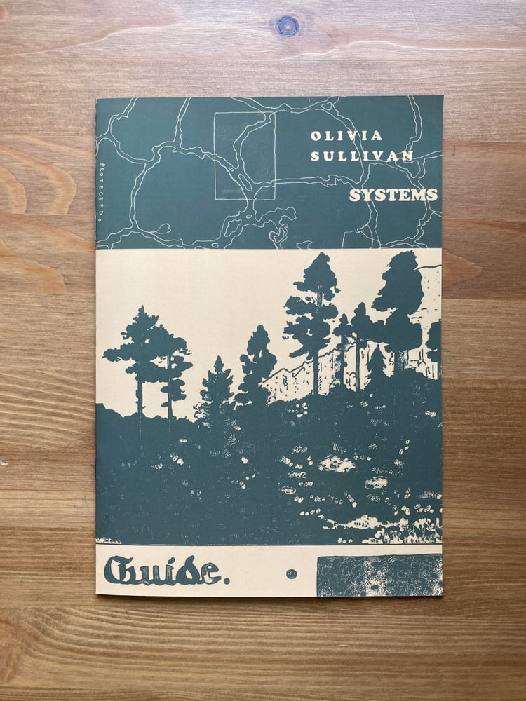 Image of SYSTEMS