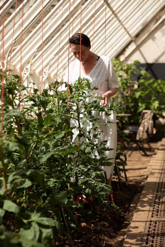 Image of Café Cooking From The Parlour to Cambo Gardens