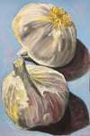 Garlic Bulbs (24x36)