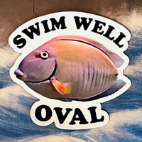 Coral City Camera Swim Well Oval Magnet