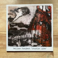 FELLOW PROJECT- STABLE LIFE CD