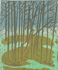 Image 1 of Trees
