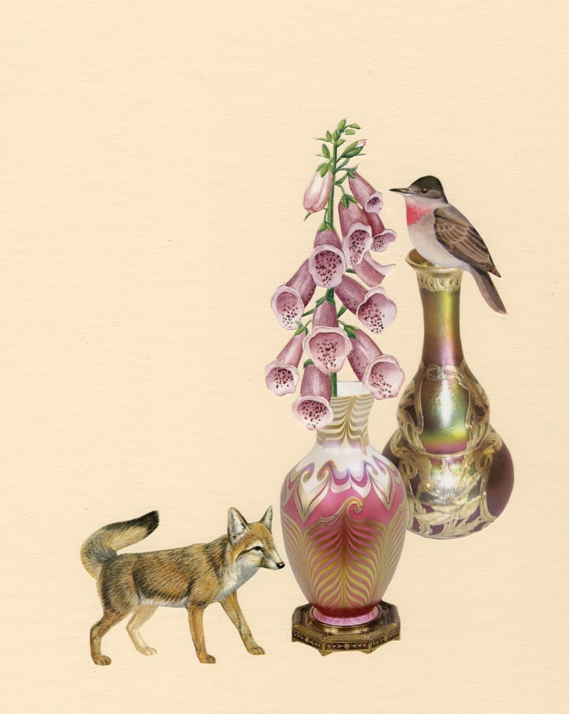 Image of Flashy flycatcher with foxgloves. original collage