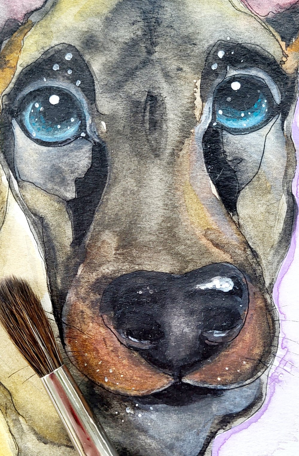 Image of Kora, The Dog With Magic Eyes