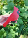 Cardinal to sit over doorway