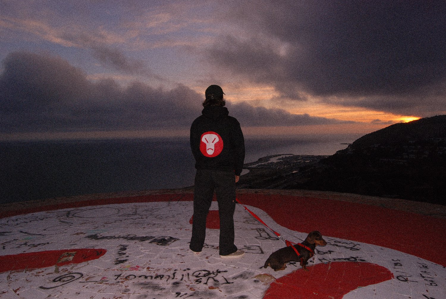 Image of Alienhead hoodie