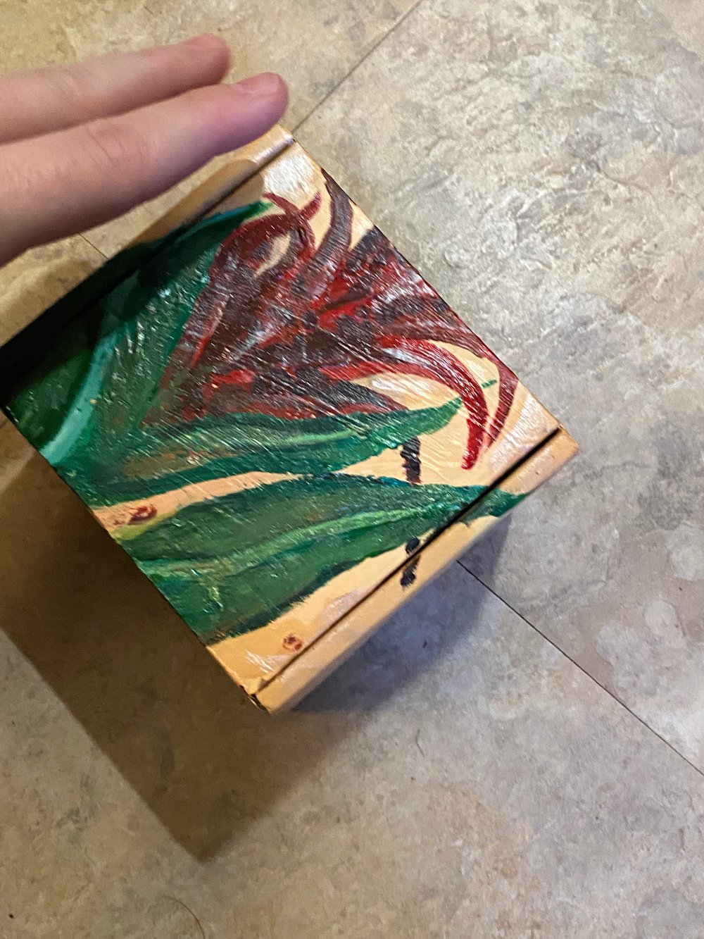 Bromeliad Box