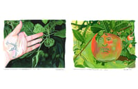 'Apparation of Face and Fruit in The Garden I & II (Eugene, OR)'
