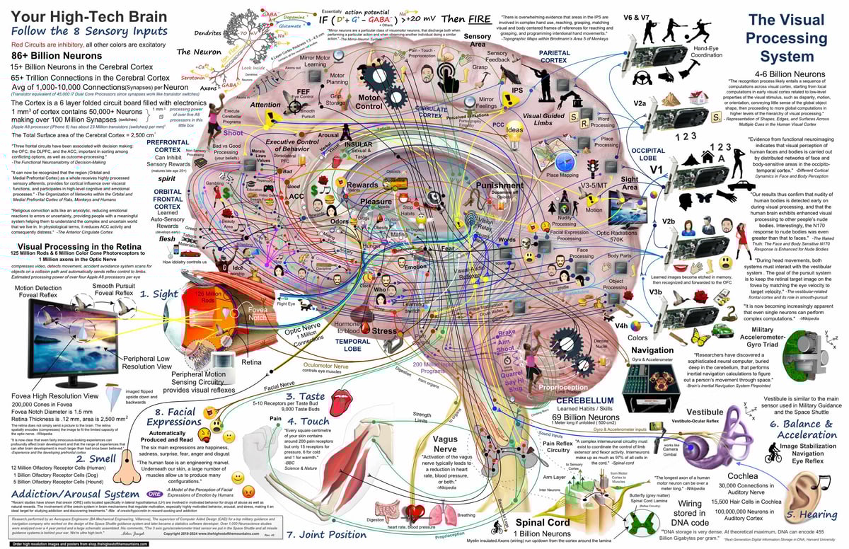 Simple Brain Map Poster | thehighestofthemountains
