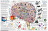 Simple Brain Map Poster 24" x 36"