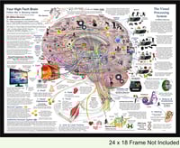New Size! Simple Brain Map 24" x 18" Print