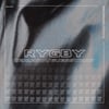RYGBY - DEMIJOHN/GUESSWHAT? EP (VINYL)