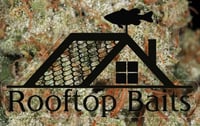 Image 3 of Rooftop camo  (herb) 
