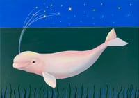 Beluga Whale Stars