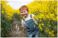 Image 1 of RAPESEED MINI SESSIONS { £20 RETAINER ONLY }