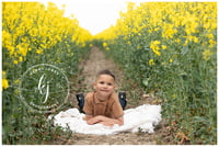 Image 4 of RAPESEED MINI SESSIONS { £20 RETAINER ONLY }