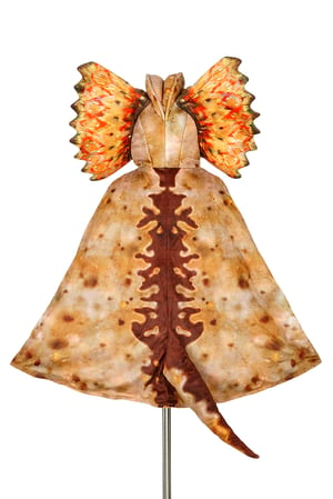 Image of Capa de Dilophosaurus T. 4-7 años