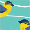Small Bird Art Print - Birds of a Feather - Canada Warbler 