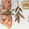 Choses Naturelles