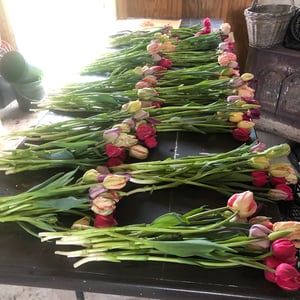 Image of Spring Flower Share