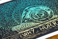 Image 2 of Why Hurry? Serigraph