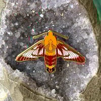 Hummingbird Clearwing Enamel Pin