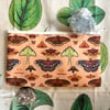 North American Moths Pencil Pouch