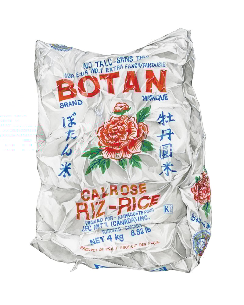 'Rose Rice' Giclée Limited Edition Art Print | JANICE WU