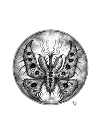 Metamorphis