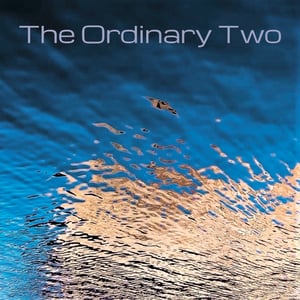 Image of HRMS Presents "THE ORDINARY TWO :: LIVE AT HEALTHY RHYTHM"