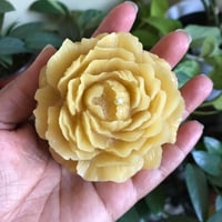 Image 3 of Peony Flower Beeswax Candle