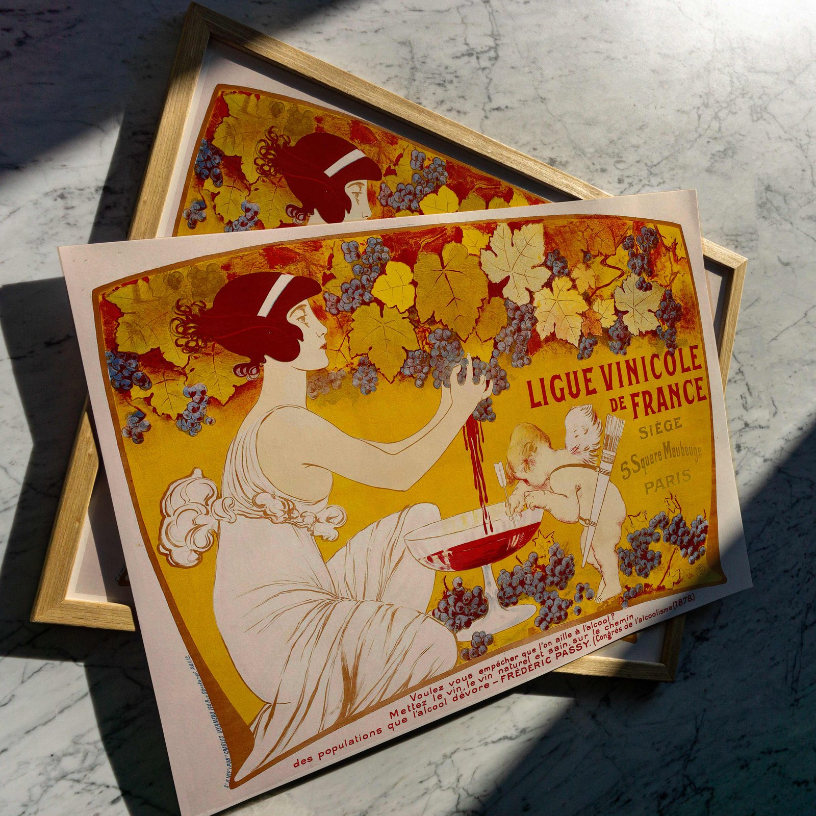 Ligue Vinicole de France | Emmanuel-Joseph Orazi - 1901 | Drink