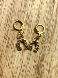 Colorful Horse Shoe Earrings 