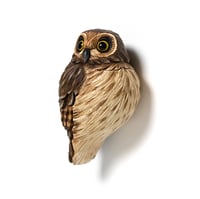 Image 2 of Mini Bird: Short-Eared Owl by Calvin Ma 