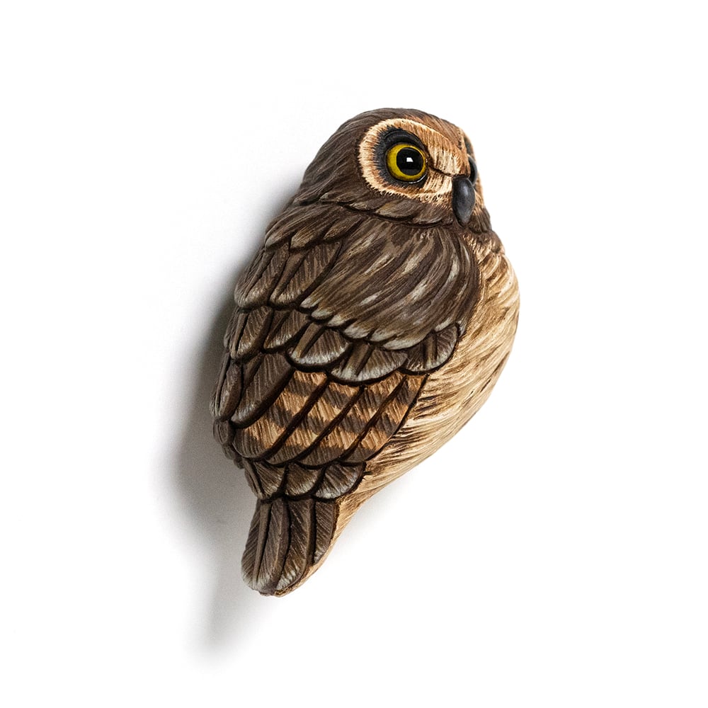 Image of Mini Bird: Short-Eared Owl by Calvin Ma 