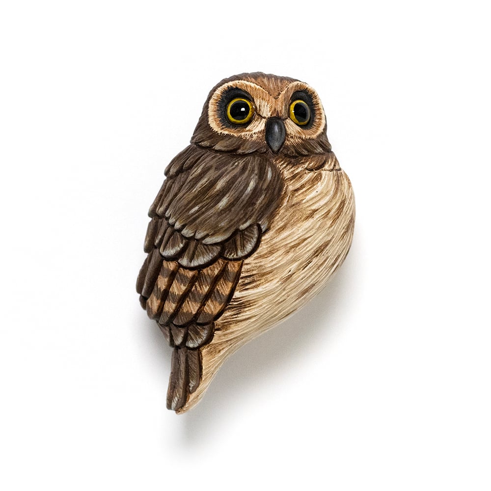 Image of Mini Bird: Short-Eared Owl by Calvin Ma 