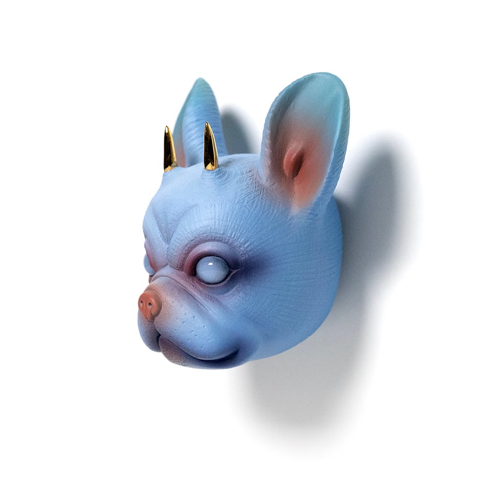 Image of Chikkoi Frenchie (blue/gold horns)
