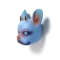 Image 3 of Chikkoi Frenchie (blue/gold horns)