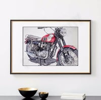 Image 2 of TRIUMPH BONNEVILLE