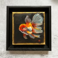 Image of Goldfish 1 with frame